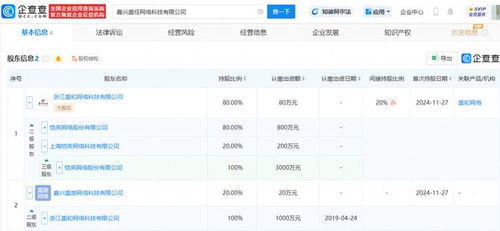 愷英網(wǎng)絡(luò)嘉興布局 投資成立網(wǎng)絡(luò)科技公司，拓展信息技術(shù)咨詢服務(wù)新賽道